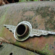 Illustration for article titled DIOCCUSA: A Not At All Rust-Proof Renault